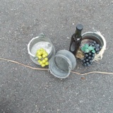 1782037_751320068213973_594401292_n